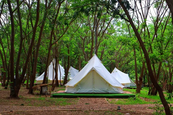 Ormanda dinlenmek ve dinlenmek için çadır kuruyorlar. Glamping 'deki beyaz çadır..