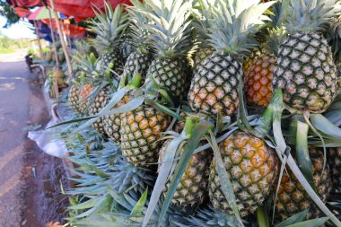 Piyasada ananas meyvesi.