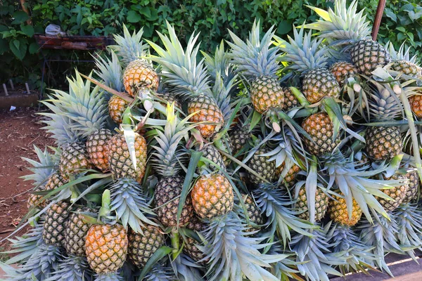 Frutta Ananas Sul Mercato — Foto Stock