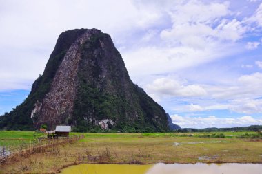 Pirinç tarlası ve mavi gökyüzü arkaplanlı dağ manzarası.