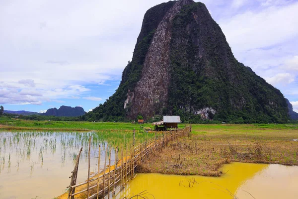 Landschaft Aus Reisfeld Und Berg Muang Fuang Laos — Stockfoto