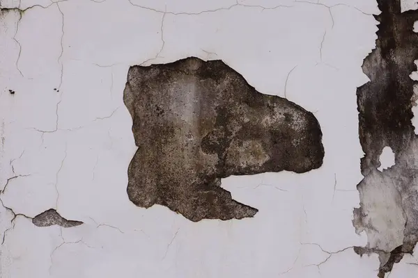 Beyaz boyalı eski bir duvar. Tasarım için soyut arkaplan.