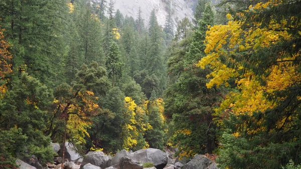美丽的秋天 高山上的色彩 — 图库照片