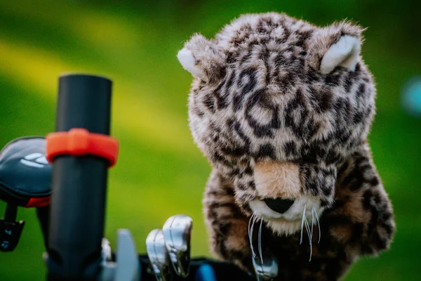 stock image close up of golf clubs driver cover 