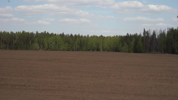 Background Newly Plowed Field Ready New Crops — Stock Video