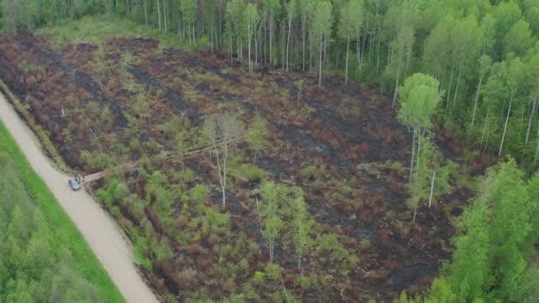 Αεροφωτογραφία Πράσινο Ξηρό Δάσος Κάποια Μέρη Καταστράφηκαν Από Δασική Πυρκαγιά — Αρχείο Βίντεο