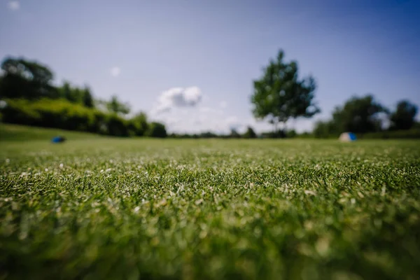 Achtergrond Van Prachtige Groene Gras Patroon Van Golfbaan Zonsondergang Tijd — Stockfoto
