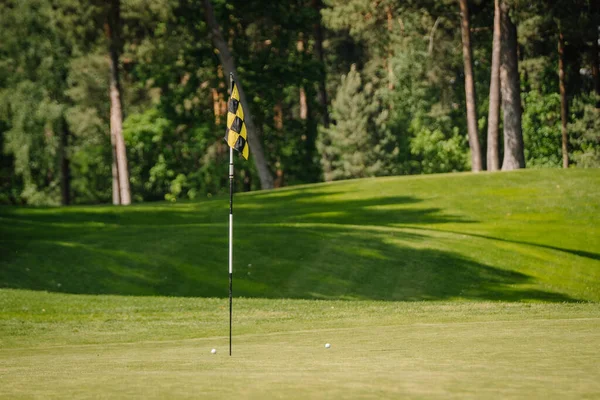 Κίτρινη Και Μαύρη Καρό Σημαία Στο Γήπεδο Του Γκολφ — Φωτογραφία Αρχείου
