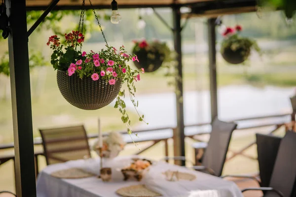 Der Nahaufnahme Hängt Ein Blumentopf Terrassenrand Hintergrund Ein Dekorierter Tisch — Stockfoto