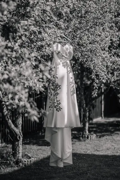 Платье Невесты Висит Яблоневом Саду — стоковое фото