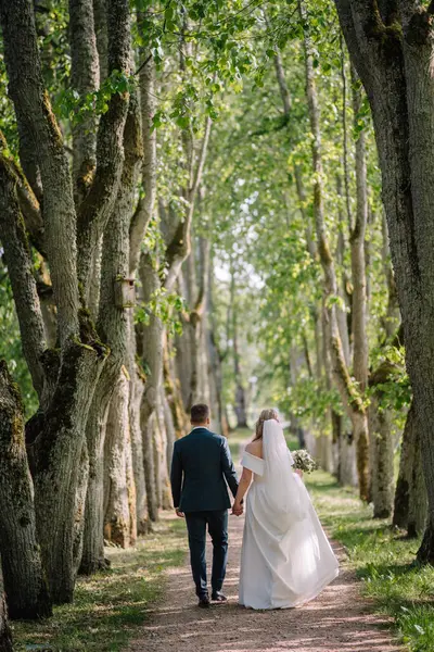 Giovane Coppia Sposa Sposo Camminano Lungo Vicolo Del Tiglio — Foto Stock