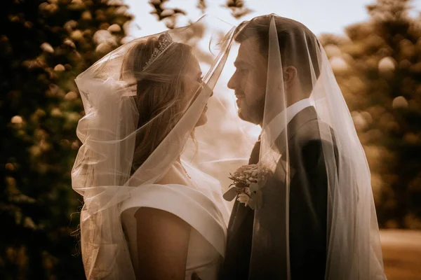 Bröllopsparet Naturen Bruden Och Brudgummen Kramas Slöjan Bröllop — Stockfoto