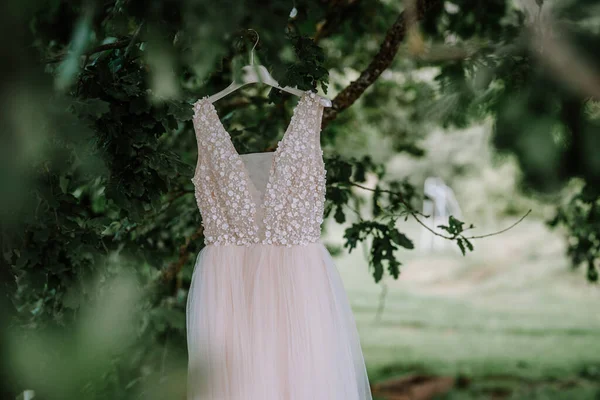 The bride\'s dress hangs under a large oak tree