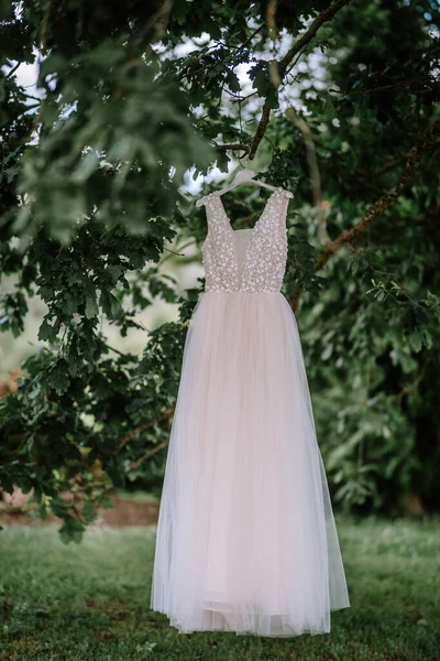 The bride\'s dress hangs under a large oak tree