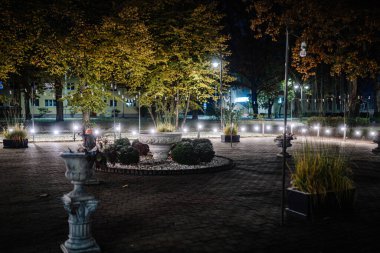 Sonbaharda şehir gece parkında ağaçlar ve yapraklarla kaplı yollar var. Peyzaj.