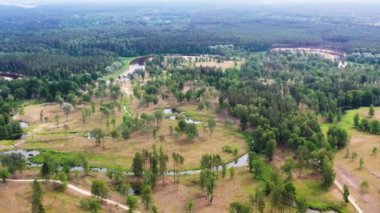 Yukarıdan doğa manzarası, çayırlar, ağaçlar ve su rezervleri, kuru doğal çayırlar. Letonya 'daki Gauja Milli Parkı