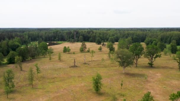 Pohled Přírodu Shora Louky Stromy Vodní Rezervace Suché Přírodní Louky — Stock video