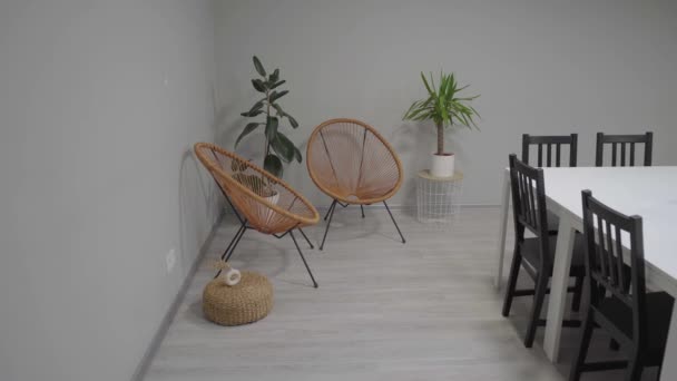 スタイリッシュな家具とモダンなデザインの居心地の良いインテリア — ストック動画