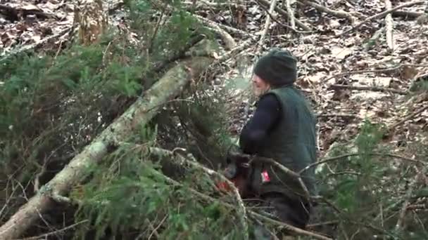 木から枝をトリミングする機械的なチェーンソーを使用して森で働くアーバニストの映像 — ストック動画