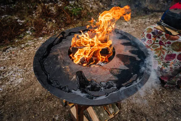 Fire Campfire Well Seasoned Logs Wood Metal Fireplace Bowl Garden — Stock Photo, Image