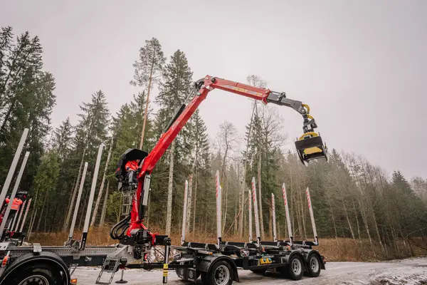 stock image Harvester felling head detail. Forestry vehicle in off road. Crane arm, pressure hosepipes and grapple. Hydraulic drive. Trunks heap. Bark beetle calamity. Deforest, environment.