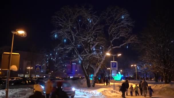 Valmiera Riga Prosince 2023 Vánoční Stromeček Děti Představení Vánoční Stromeček — Stock video