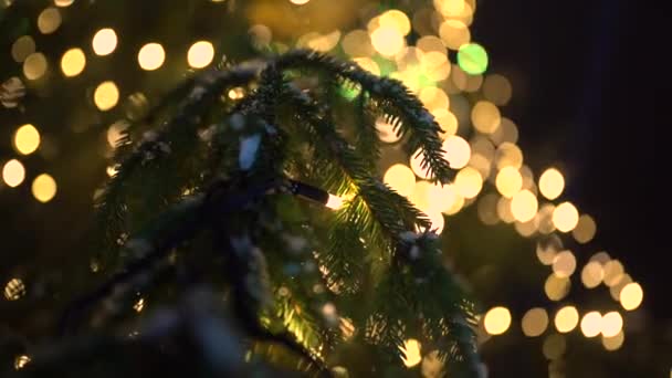 Valmiera Riga Dicembre 2023 Illuminazione Dell Albero Natale Bambini Spettacoli — Video Stock