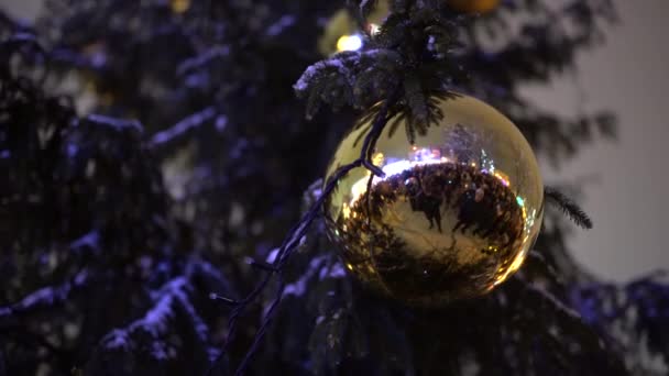Valmiera Riga December 2023 Karácsonyfa Világítás Gyerekek Előadások Karácsonyfa Sok — Stock videók
