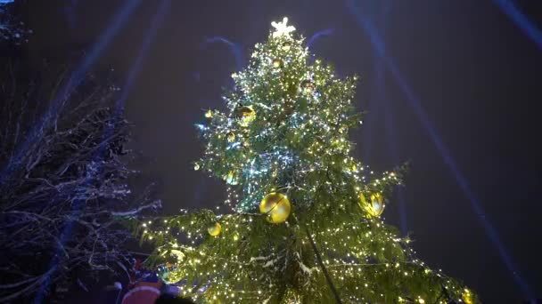Valmiera Riga Diciembre 2023 Iluminación Árboles Navidad Niños Actuaciones Árbol — Vídeos de Stock
