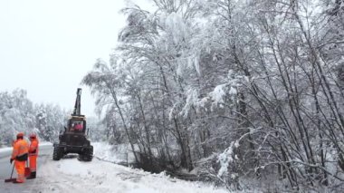 Valmiera, Letonya - 8 Aralık 2023 - Ağaçları biçme makinesi ile kesme. Şiddetli kar ağaçları terk eder. Karla kaplı ağaçlar yol trafiğini tehdit ediyor. Temizlik işleri