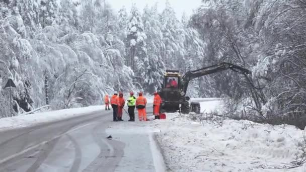 Valmiera Łotwa Grudnia 2023 Piły Maszynami Leśnymi Kombajnu Ciężki Śnieg — Wideo stockowe