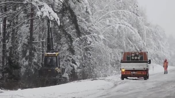 Valmiera Łotwa Grudnia 2023 Piły Maszynami Leśnymi Kombajnu Ciężki Śnieg — Wideo stockowe