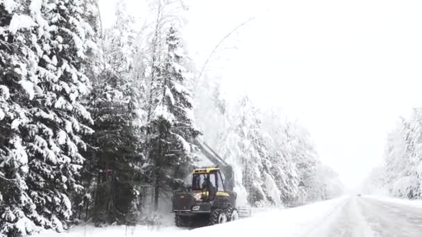 Valmiera Letônia Dezembro 2023 Serrarias Com Maquinário Florestal Colheitadeira Neve — Vídeo de Stock