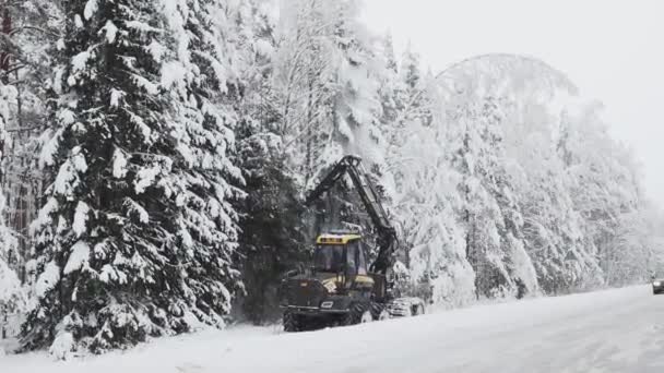 2023年12月8日 ラトビアのヴィラエラ ハーベスター林業機械を使用したソーイングツリー 大雪が木から離れていく 雪に覆われた木は道路交通に脅威を与える クリーニング作業 — ストック動画