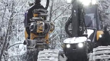 Valmiera, Letonya - 8 Aralık 2023 - Ağaçları biçme makinesi ile kesme. Şiddetli kar ağaçları terk eder. Karla kaplı ağaçlar yol trafiğini tehdit ediyor. Temizlik işleri
