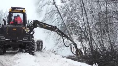 Valmiera, Letonya - 8 Aralık 2023 - Ağaçları biçme makinesi ile kesme. Şiddetli kar ağaçları terk eder. Karla kaplı ağaçlar yol trafiğini tehdit ediyor. Temizlik işleri