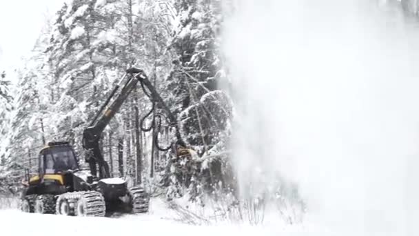 拉脱维亚瓦尔米耶拉 2023年12月8日 用收割机林业机械锯木 大雪使树木凋零 积雪覆盖的树木对公路交通构成威胁 清洁工程 — 图库视频影像