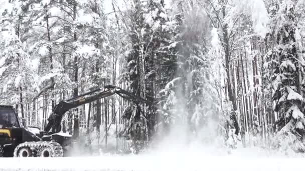 Valmiera Letland December 2023 Savning Træer Med Høstmaskine Den Tunge – Stock-video