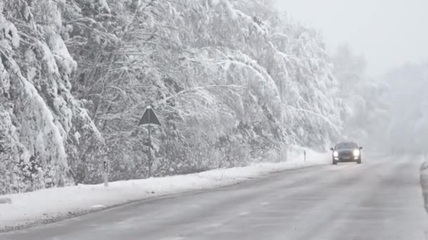 Los Coches Conducen Camino Peligroso Invierno Ramas Nieve Dobladas Sobre — Vídeo de stock