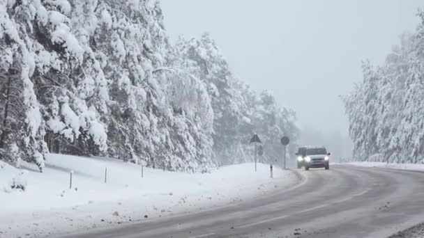 Los Coches Conducen Camino Peligroso Invierno Ramas Nieve Dobladas Sobre — Vídeos de Stock