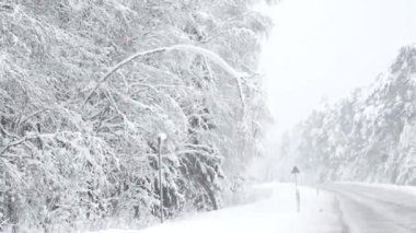 Otoyolun kenarındaki ağaç dallarında kar var. Tehlikeli bir durum yaratıyor. Yolda dallar kırılabilir.