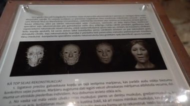 Cesis 'in ortaçağ şatosunda ölen Livonyalı bir kadının yüzünün heykel yapılandırması.