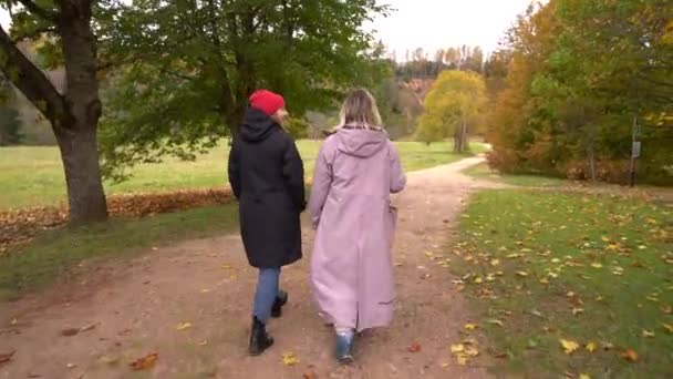 2人の個人 1人は赤いビーニーと黒いコートを着て もう1人はピンクのコートを着て 秋の色を表示する木々と葉の通りを歩きます — ストック動画