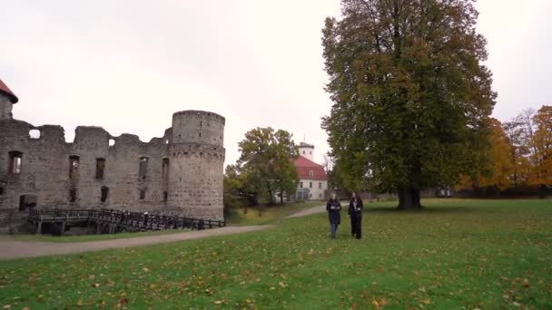 Színes Ősz Régi Cesis Városi Parkban Lettország Európa — Stock videók