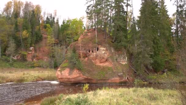 一座生长着树木的红色砂岩悬崖俯瞰着一条河流 周围环绕着茂密的森林 — 图库视频影像