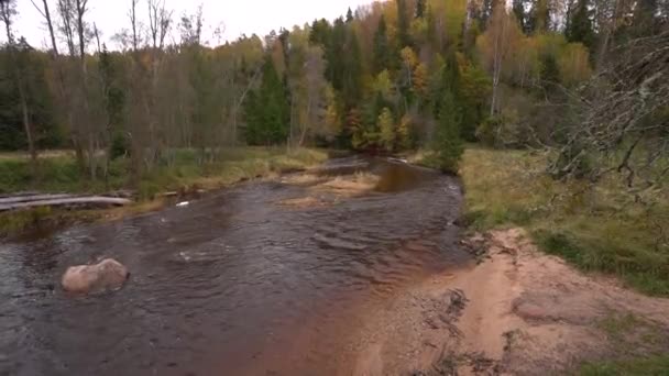 一条蜿蜒的小河划破了五彩缤纷的秋天风景 岸边长满了森林 水里只有一块巨石 — 图库视频影像