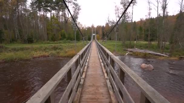 Solidny Drewniany Most Wiszący Rozciąga Się Przez Spokojną Rzekę Otoczony — Wideo stockowe