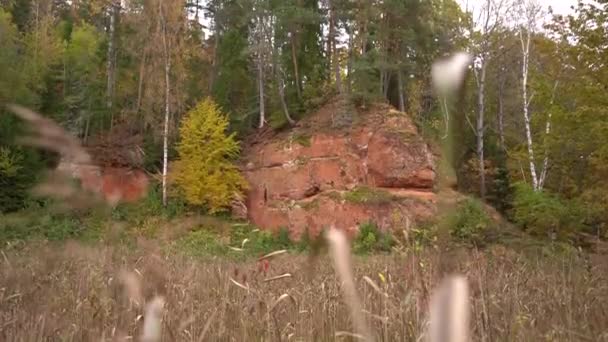 背の高い草に覆われた秋の葉のある森の中に印象的な赤い砂岩の崖を持つ自然の風景 — ストック動画