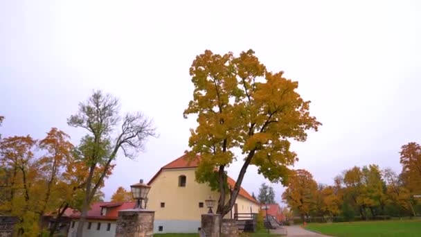 Colorido Otoño Parque Ciudad Vieja Cesis Letonia Europa — Vídeos de Stock