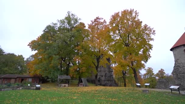 Bunter Herbst Alten Stadtpark Von Cesis Lettland Europa — Stockvideo